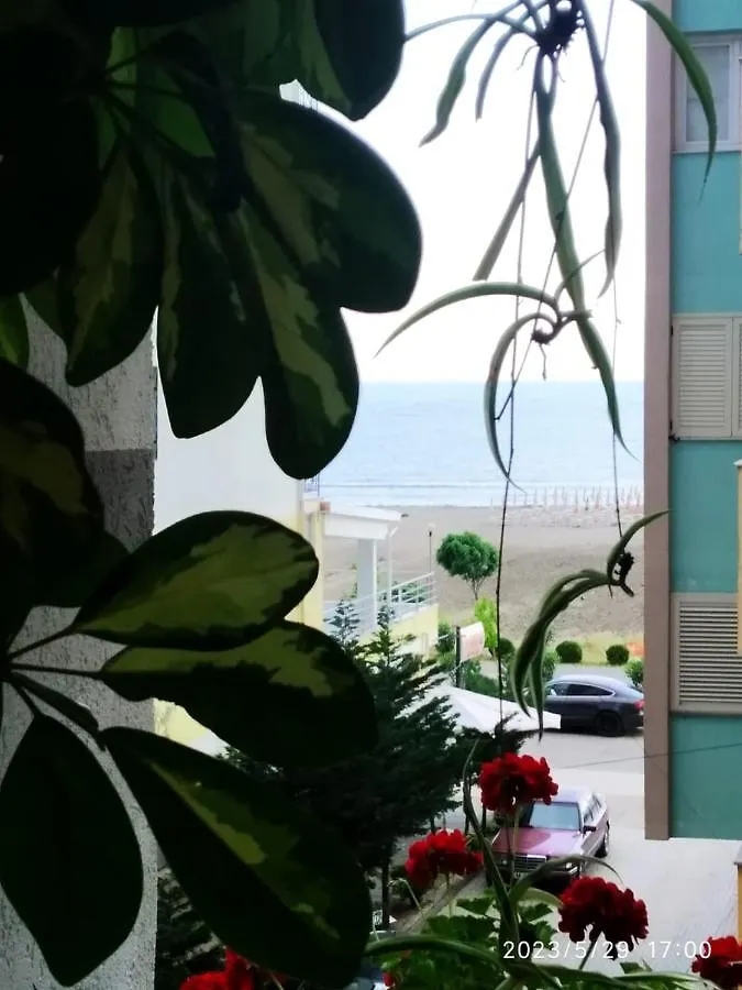 Holiday Apartment Shengjin 0*,